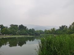 -国家植物园南园