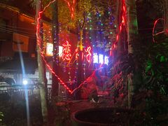 -恋拐子油爆虾·家常菜