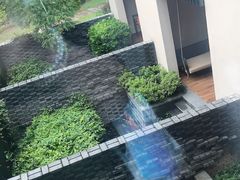 -上海崇明金茂凯悦酒店