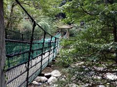 -溪口-滕头旅游景区