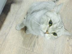 -小时光咖啡馆(开森度假森林店)