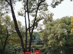 -新洲生态园