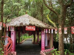 -黄山翡翠谷景区