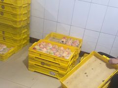 -老袁家蜜桃农场·阳山水蜜桃