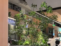 -gaga(深圳福田星河COCO Park店)