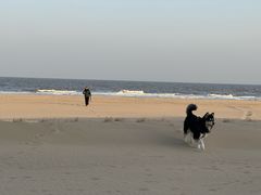 -北戴河圣蓝海洋公园