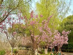 -梁鸿国家湿地公园