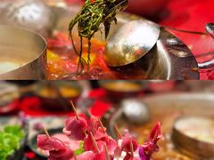 -谭鸭血老火锅(漳州路店)