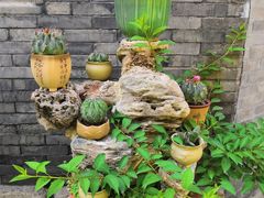 -西安化觉巷清真大寺