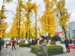 -百林公园-两江幸福广场