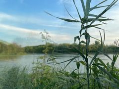 -昆山城市生态森林公园