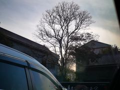 -一叶觅山(半边街店)
