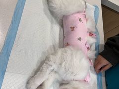 -美迦爱-牙专科·兔科·骨科诊疗中心(北苑店)
