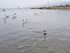 -青海湖二郎剑景区
