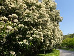 -狼山风景名胜区