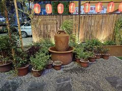 -食欲老院子荆芥疙瘩汤(经五路店)