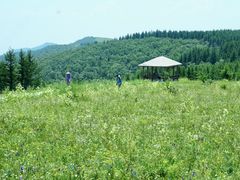 -敕勒川草原