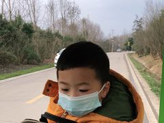 -桤木河湿地公园