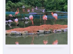-宁波野生动物园