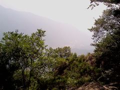 -王顺山国家森林公园