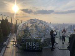 -FLAIR顶层餐厅酒吧(浦东丽思卡尔顿酒店)