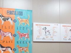 -瑞鹏宠物医院(大运分院)