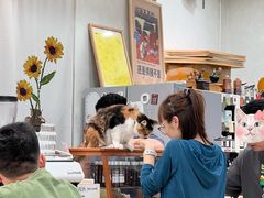 -玫瑰咖啡(中山六路店)