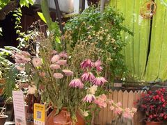 -吃货私房菜(丽江束河古镇店)