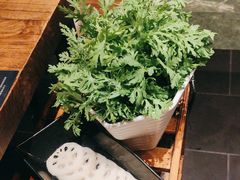 -额尔敦草原涮羊肉·烧烤(冻青树总店)