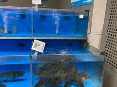 -盒马鲜生(莱蒙都会店)