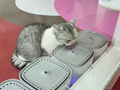 -天虹购物中心(深圳龙华店)