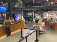 -爪吧宠物乐园·宠物泳池(温榆河示范区店)