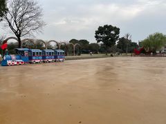 -鹅湖玫瑰文化园