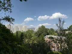 -青藏高原野生动物园