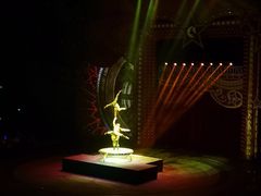 -珠海横琴长隆《卡卡虎奇遇记》