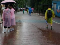 -梦幻奥陶纪景区