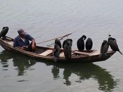 -南湖湿地公园