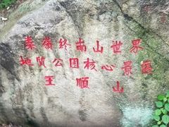 -王顺山国家森林公园