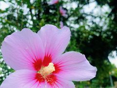 -前小桔亲子创意农场·草莓采摘·露营烧烤