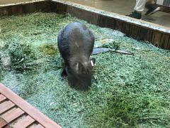 -复地·万科活力中心