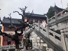 -鸡鸣赐茶(鸡鸣寺路店)