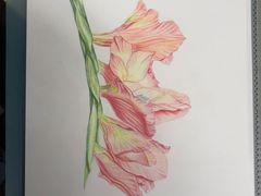-八哥美术·成人美术画室(总校区)