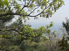 -北京十三陵国家森林公园蟒山景区