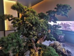 -潮上潮(南中环店)