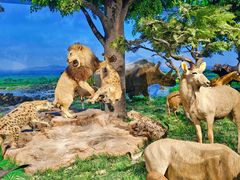 -国家自然博物馆