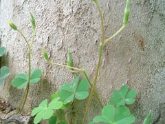 外景-河南省黄河迎宾馆