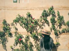 -阿尔罕布拉宫