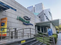 -上海海洋水族馆