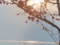 -大理洱海