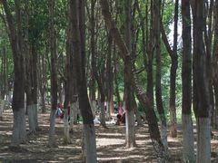 -金银湖国家城市湿地公园